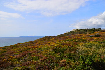 长安福特多少钱一辆新车（长安福特多少钱一台车）